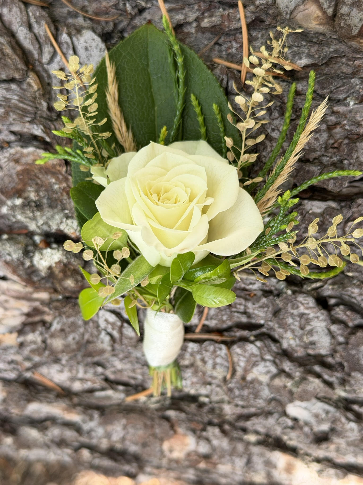 The Graceful Stem Boutonniere features a white rose with green leaves and small accents, beautifully pinned against textured tree bark for a romantic floral touch.